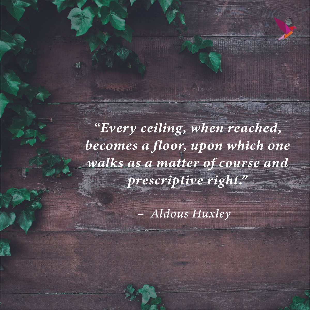 SirennaLearning's tweet photo. "Every ceiling, when reached, becomes a floor, upon which one walks as a matter of course and prescriptive right."- Aldous Huxley
#Sirenna #SirennaLearning #Trainingconsultancy #goalsetting #quotes #dailyquotes #eLearning https://t.co/b06KE4JPVi
