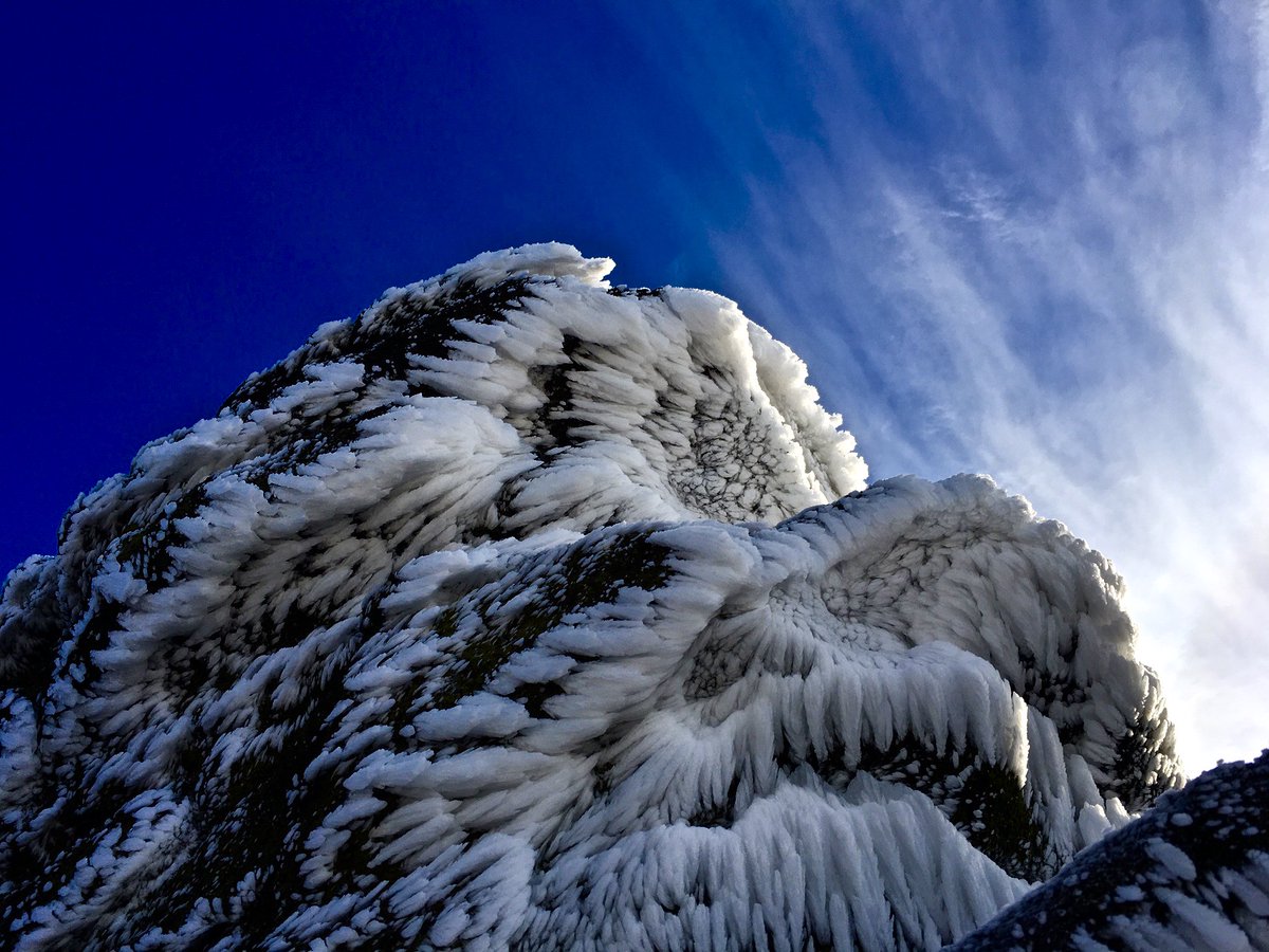 Ide Crawford tweet media