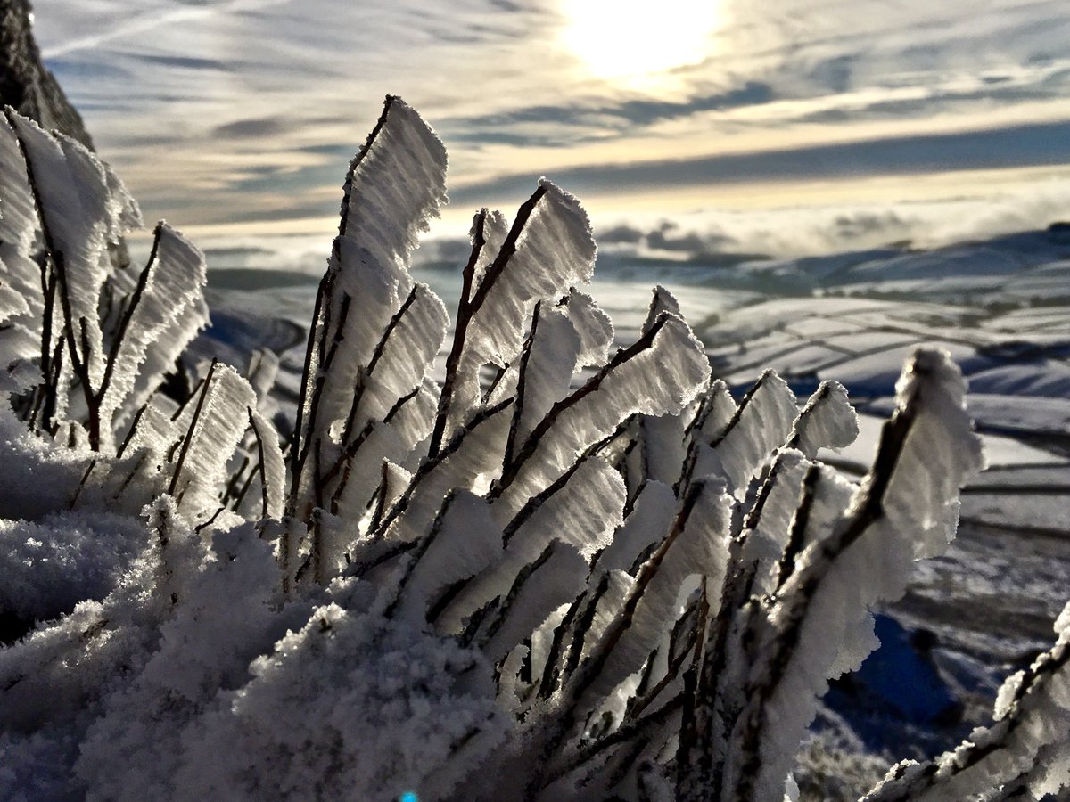 Ide Crawford tweet media