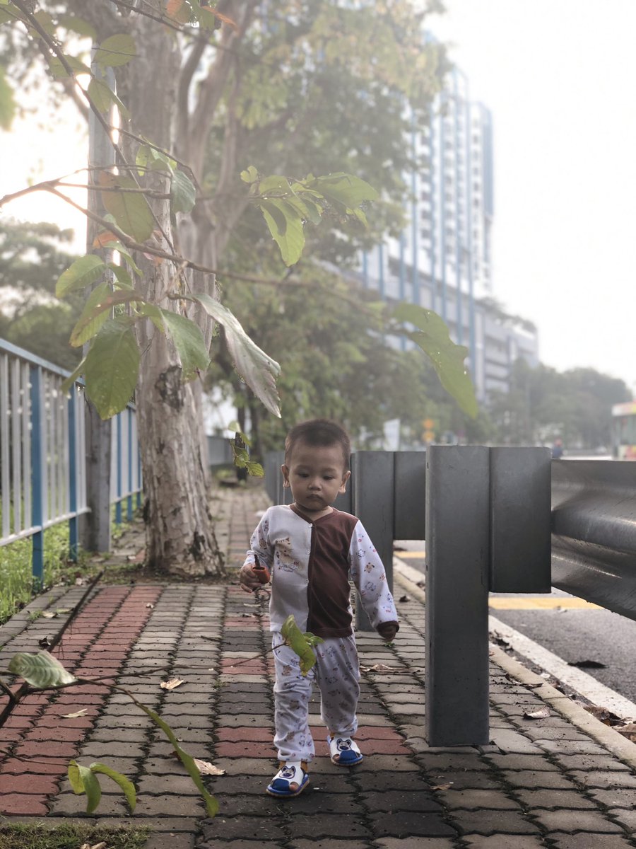 YazidYY's tweet photo. Gemok la awak  . 1 tahun 2 bulan dah awak membesar dgn jayanya. 😬 https://t.co/oQG7WeE1EB