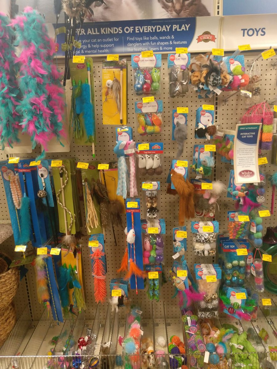 BobTusi's tweet photo. last time when i visit usa,a lot of pet owners let their dog choose toys themselves in petsmart stores,that is really a fashion style! https://t.co/XbkCIhWan6
