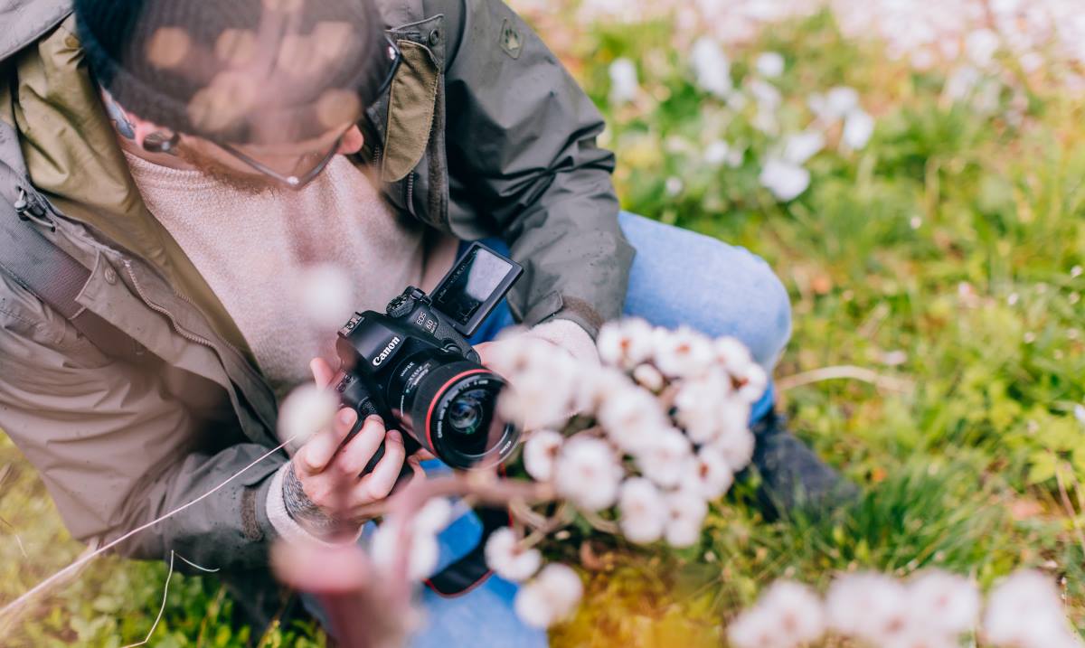 Canon Россия tweet media