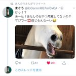 Twitterに流れてきた画像がモンスターに見えた件w