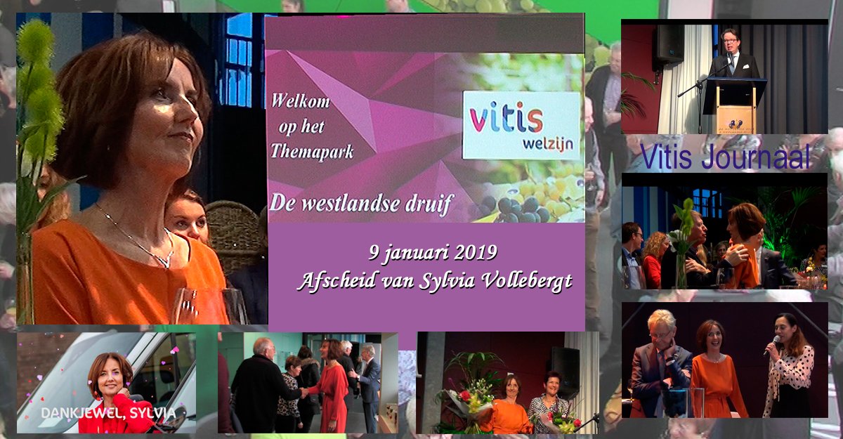 Nu op <a href="/ritvnl/">RITV</a> In themapark 'De Westlandse Druif' heeft Sylvia Vollebregt, directeur-bestuurder van VItis Welzijn <a href="/vitiswelzijn/">Vitis Welzijn</a>  afscheid genomen na vele jaren bestuurder te zijn geweest van deze oer-Westlandse organisatie. ritv.nl/aflevering/193…
