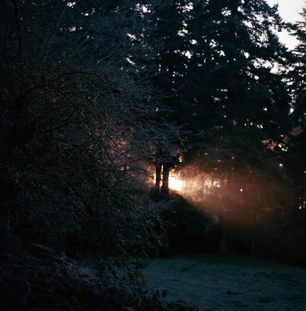 minimalism (@youminimalism) on Twitter photo 