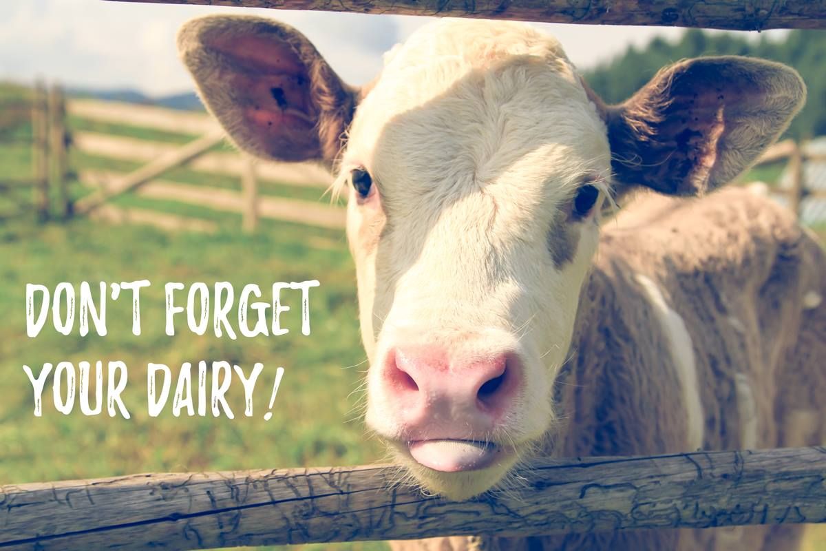 Don't forget your #dairy. It strengthens ALL bones including your teeth!  🐄🥛