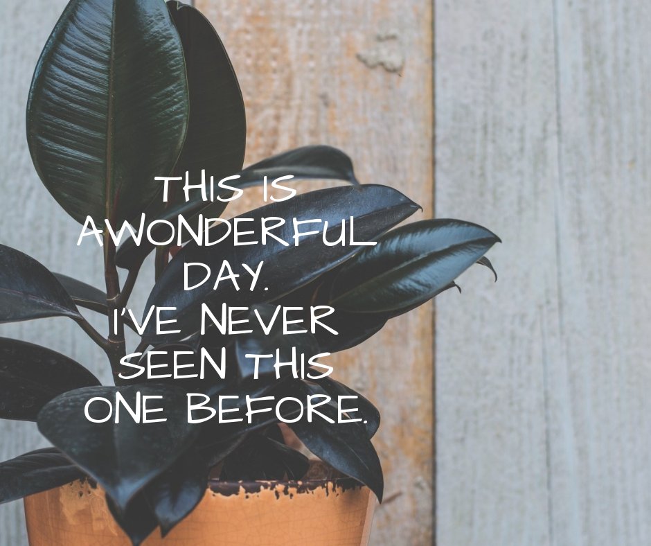 Gate_Project's tweet image. “Start each day with a positive thought and a grateful heart.” ― Roy T. Bennett