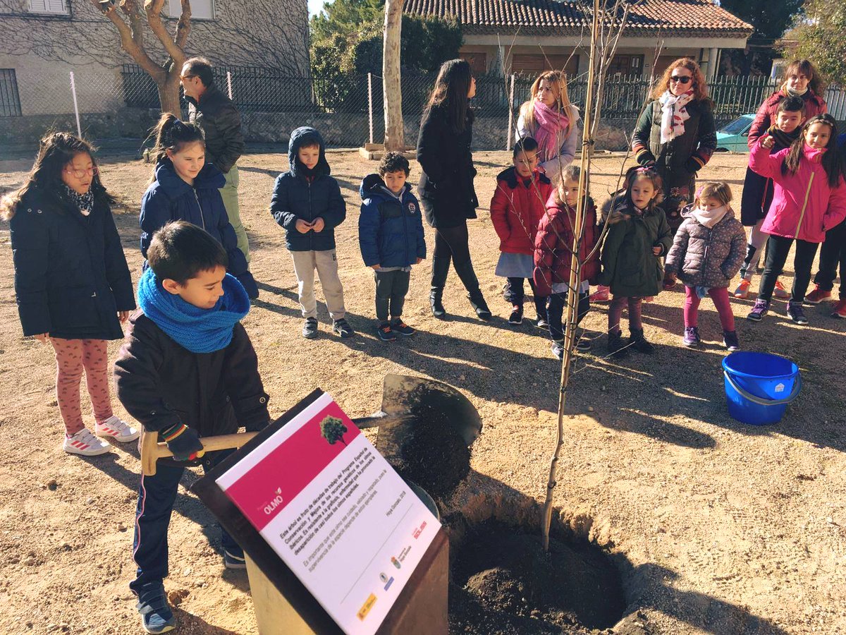 SolissSeguros's tweet photo. 🌳🌿 El #ProyectoOlmo de la Fundación Soliss llega a Hoya Gonzalo. La localidad albaceteña cuenta desde hoy con un ejemplar de olmo autóctono resistente a la grafiosis, que esperamos que crezca sano y fuerte muchas décadas. https://t.co/RKyRkDBCsP