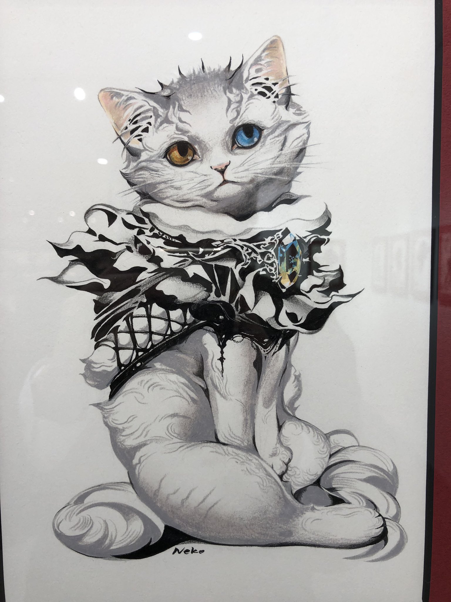 猫将軍 Nekoshowgun Tokoyanomatsu Srb Genk わー 来てくださったんですね ありがとうございます Twitter