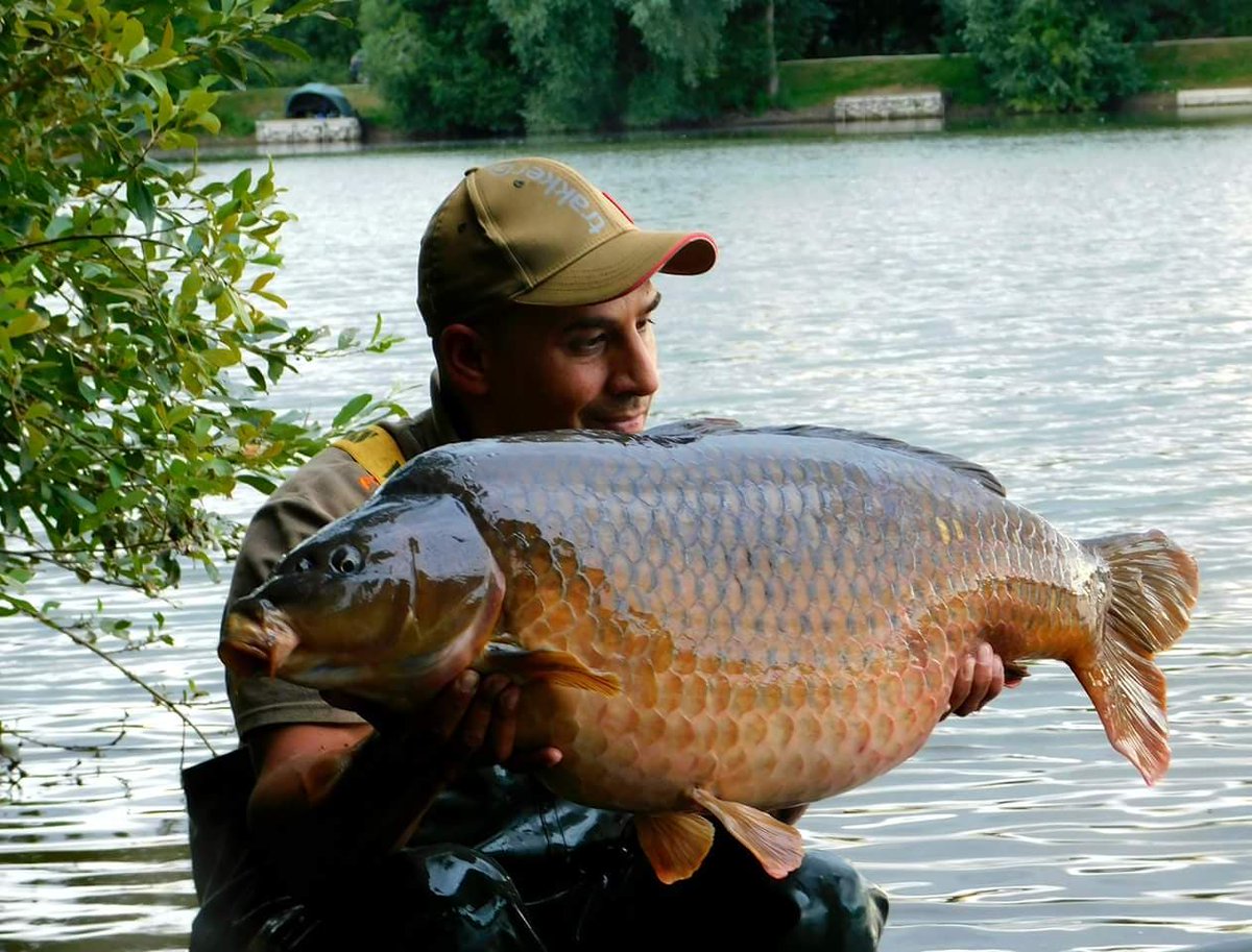 GeminiCarp's tweet photo. Jon Gill with a couple of stunning commons!

Both taken using the Gemini 100% Fluorocarbon Leaders:

44lb &amp; 38lb!

Cracking stuff Jon!

#geminicarp #carprigs #carpfishing #carp #fishing https://t.co/BrE0YtfhMC