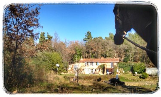 Micheline Van Hautem On Twitter Come Enjoy The Cote D Azur