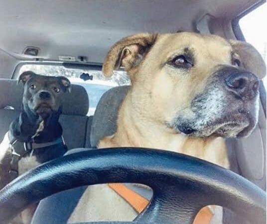 Komo kuando el uber toma una ruta que no conoces 😬