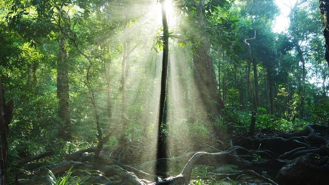 _iamindonesia's tweet photo. Riam Dait, Beautiful Waterfall 7 Levels in the North End of West Borneo

https://t.co/K0PpgHh9Xr
#WestBorneo #Borneo #Indonesia #RiamDait #WonderfullIndonesia #Waterfall https://t.co/uXdxTMjIQz