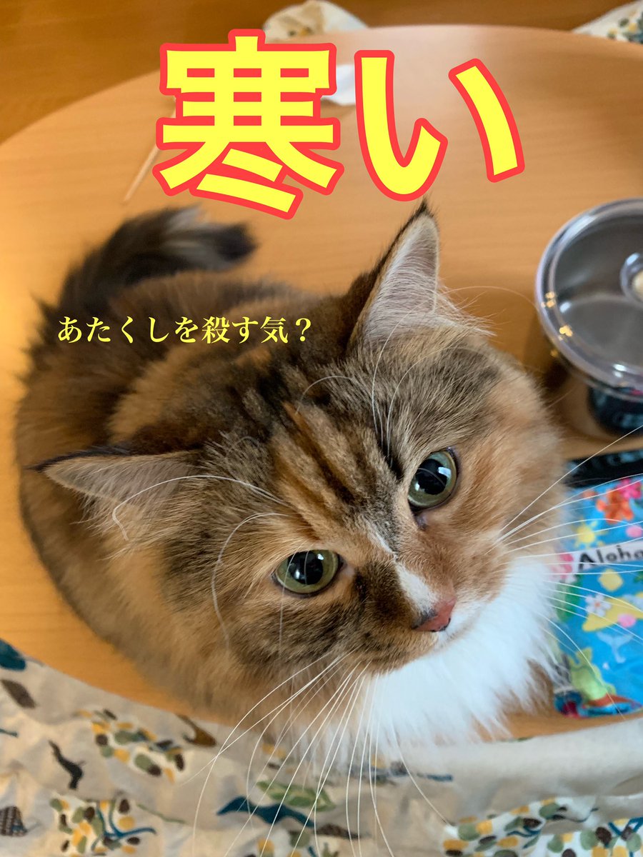 夢暖房