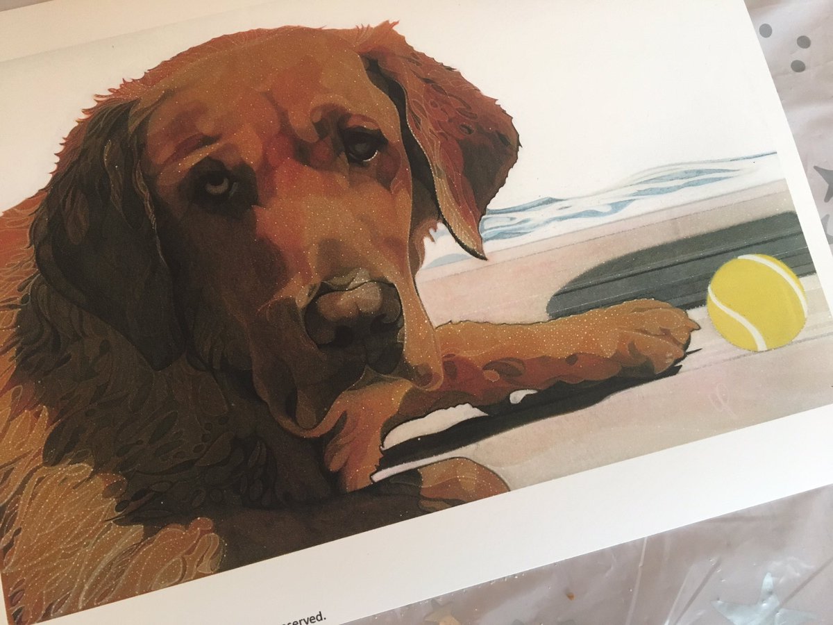 PapadakisArt's tweet image. SIMBA Artist’s Proof is in! 😃 Thank you, Hampton Roads Giclee! 

#lab #redlab #retriever #art #georgepapadakis #artist #painting #artwork #arte #artsy #artistsoninstagram #arts #dog #dogsofinstagram #dogs #doglover