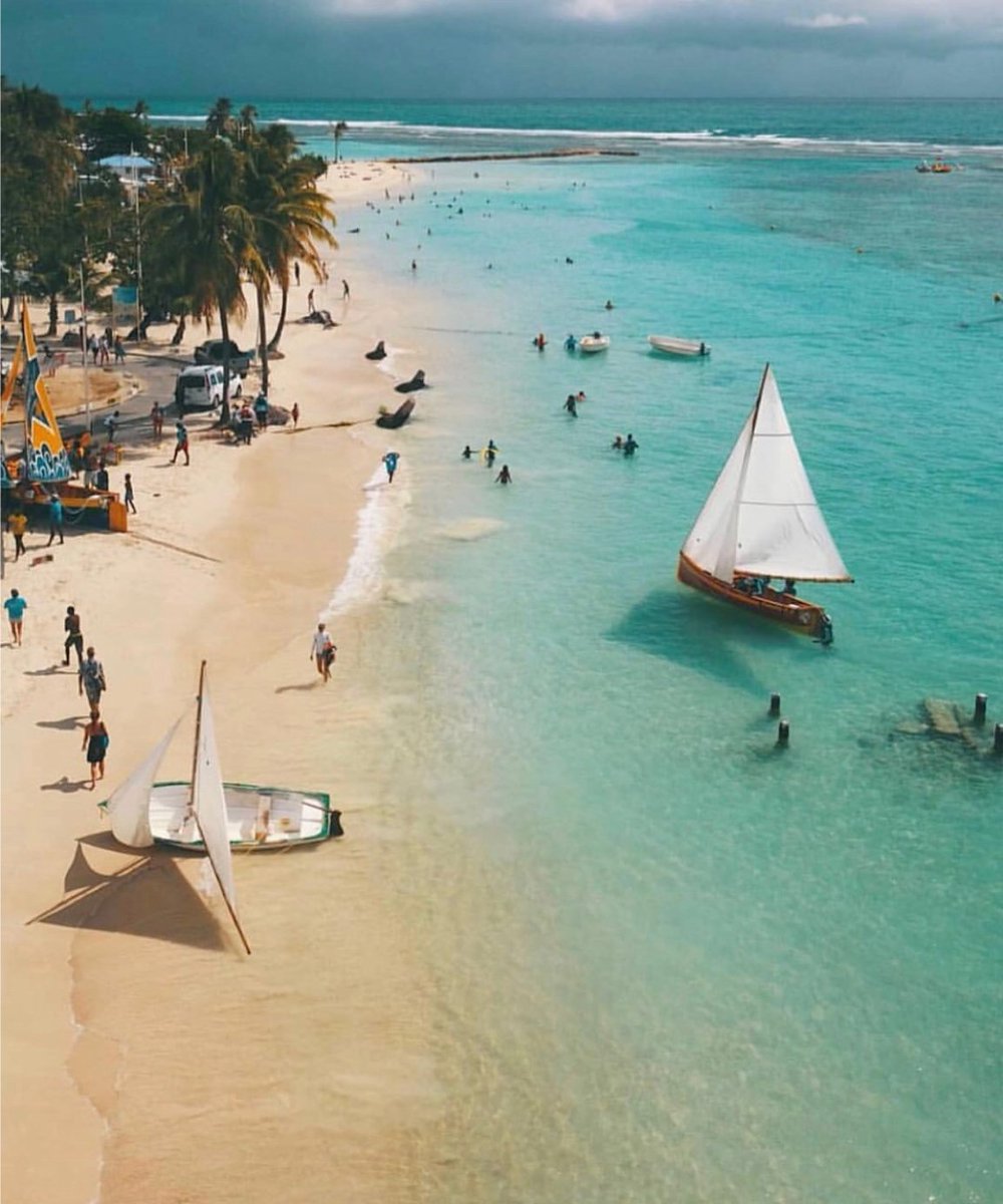 CTC_CONNECT's tweet image. Plage Du Bourg Saint-Anne 🏖⛵️

Crédit: @blankpix971
#repost #twadysion #summer #caribbeansea #clearwater #peace #boat #guadeloupe #ctcconnect