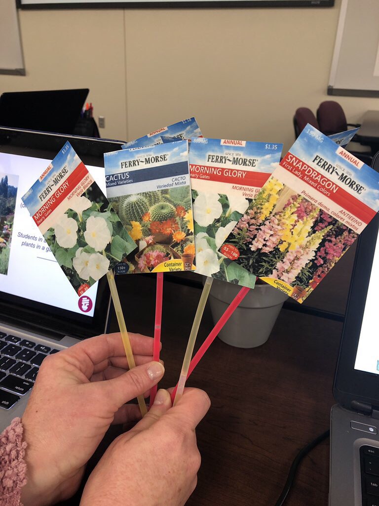 StephensKamaria's tweet image. Students in a classroom are like plants in a garden because they each have different needs in order to grow! #aisdactivelearning.