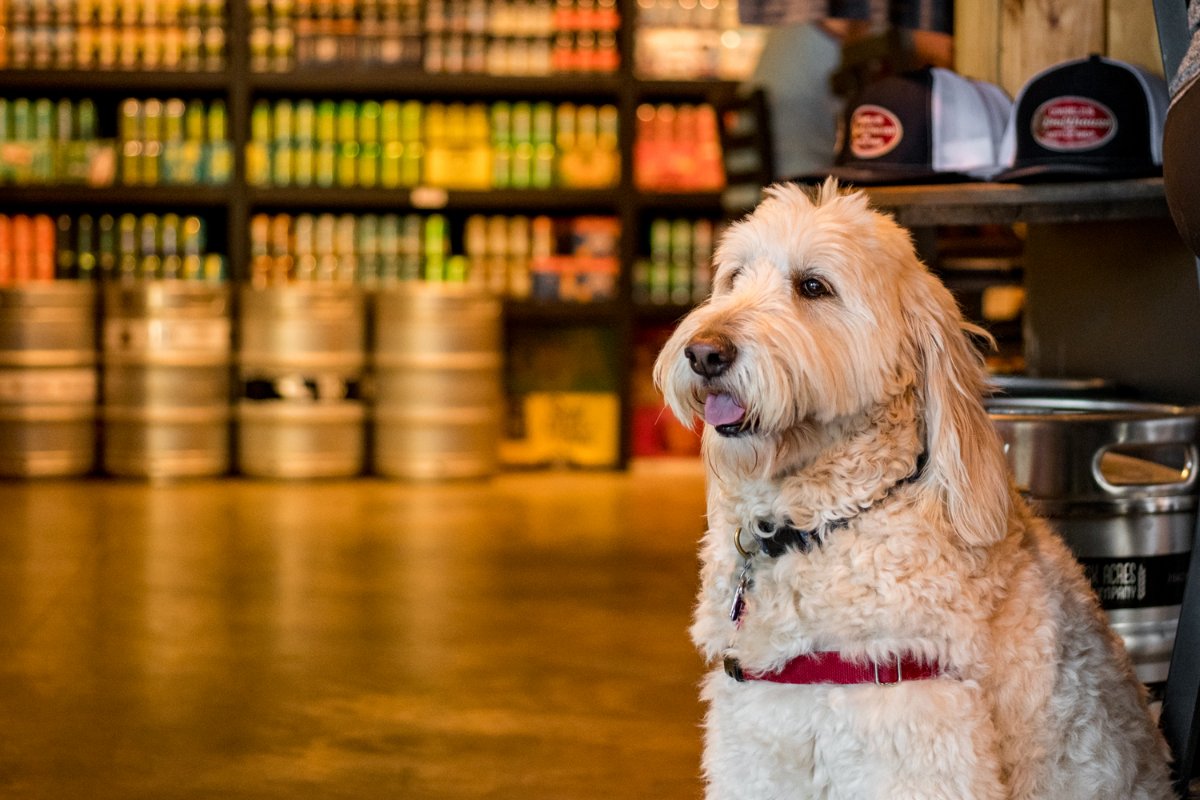 drafthouselkn's tweet image. We're here to be the reason you smile today.