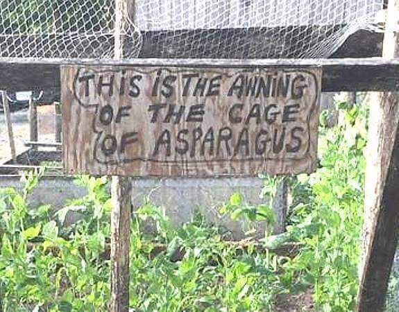 farmgardenbee's tweet photo. #FridayFunny #GardenHumor #NameThatTune https://t.co/GLzuPB3suG