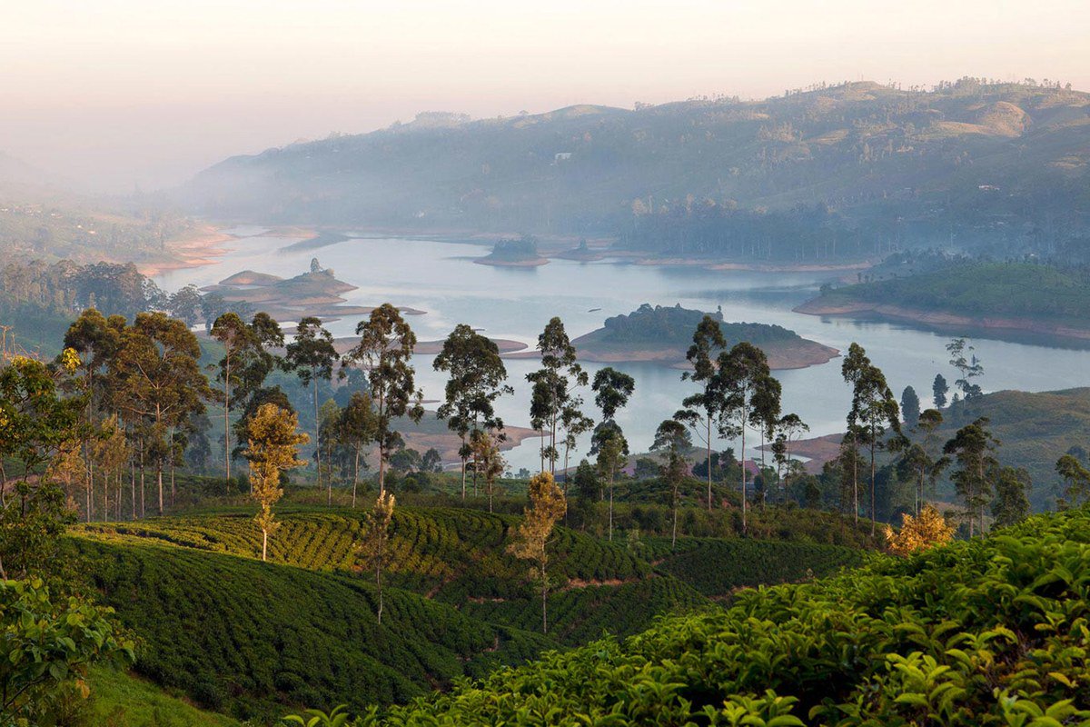 #Vogue explores, ‘Why is #SriLanka now the most fashionable place to #travel?’ ow.ly/Zdd930nnEYI