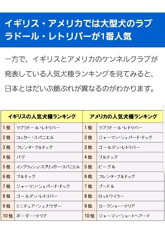 人気犬種ランキング Twitter Search Twitter 人気犬種ランキング Twitter Search Twitter
