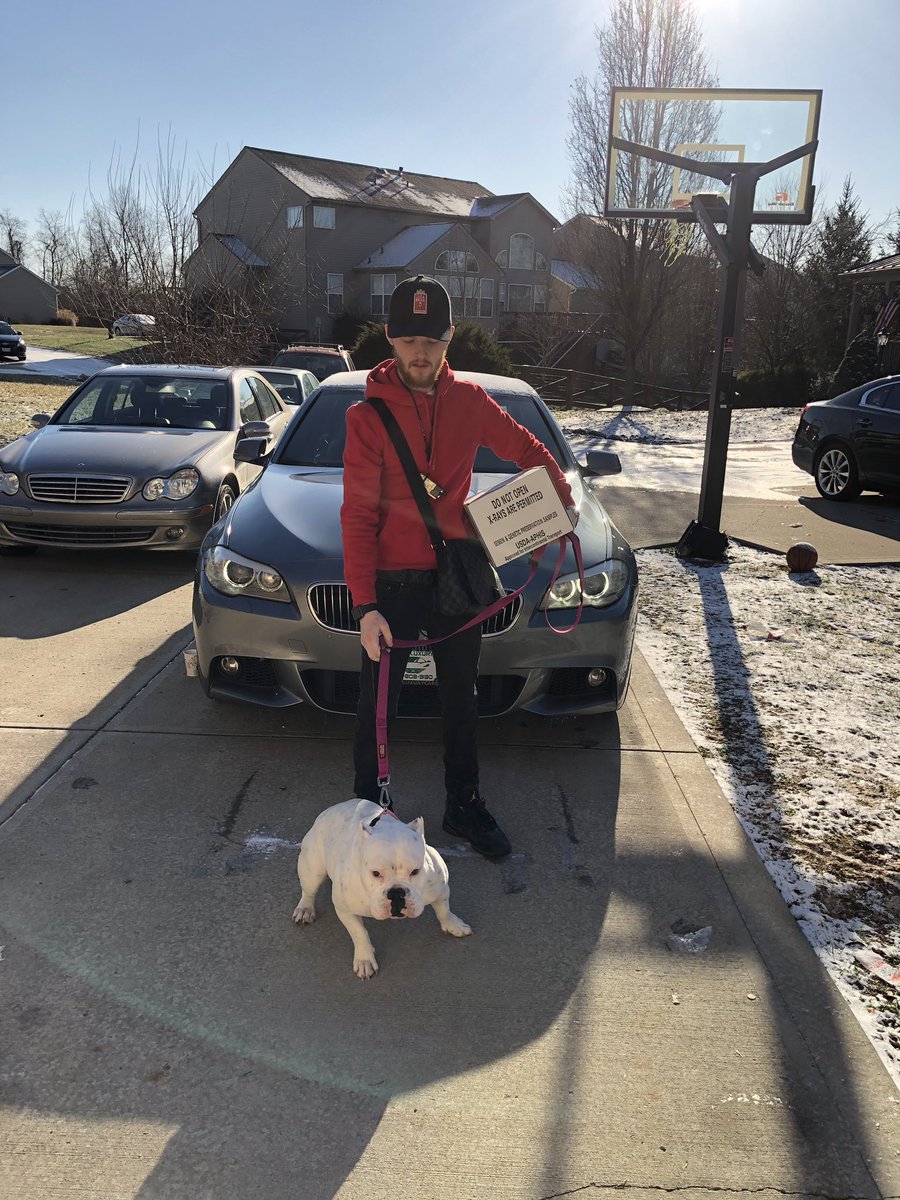 GabrielIsaaih's tweet photo. All I gotta say is God is GOOD #Drip #DesignerErrythang #OnGodNem 🙏🧬🦍🔥#MicroBully #LuxuryDogs #RichPets https://t.co/At5tQYkzme