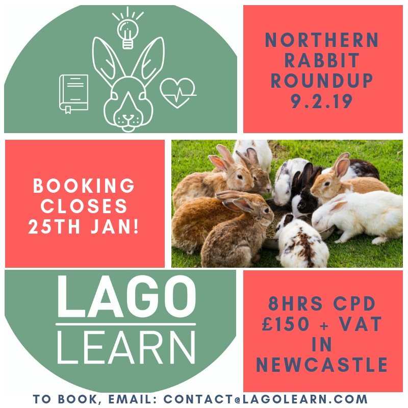 Lagolearn's tweet image. Booking closes today! Dont miss out on the final tickets for a whole day of expert #rabbitCPD Email us to find out more: contact@lagolearn.com
