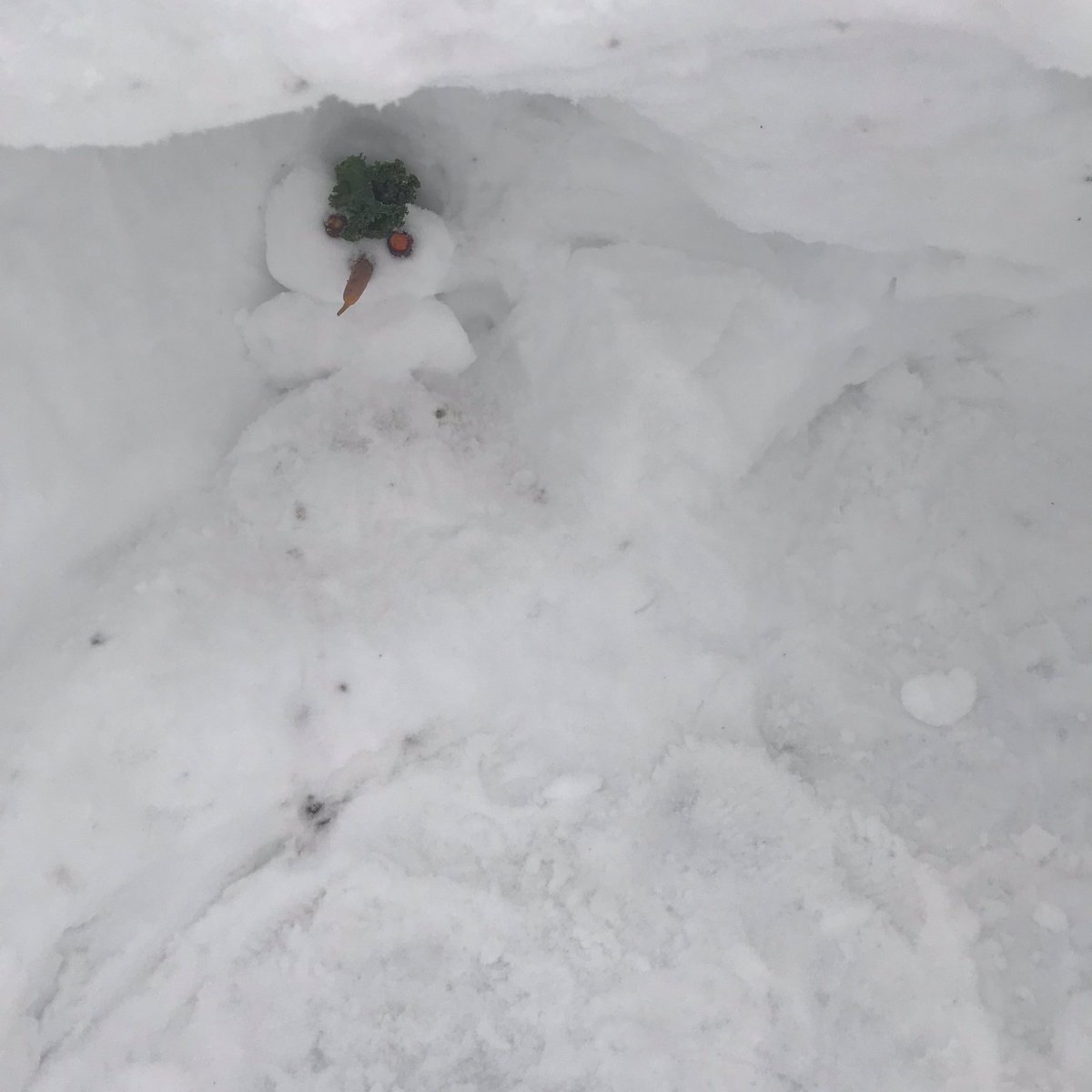 OttawaMaryJ's tweet photo. Kids have made another #snowphytrophy entry @intheglebe This one is a “super snow penguin”. He lives in a little house with two bedrooms. Where’s your snow creation, #glebe? https://t.co/BhxUQuWnYq