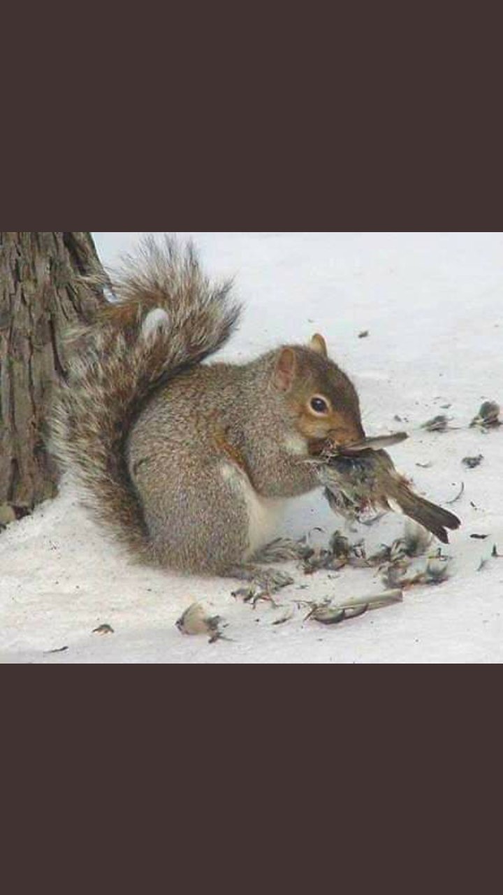 ���������� �������� ��� ������� � ���������