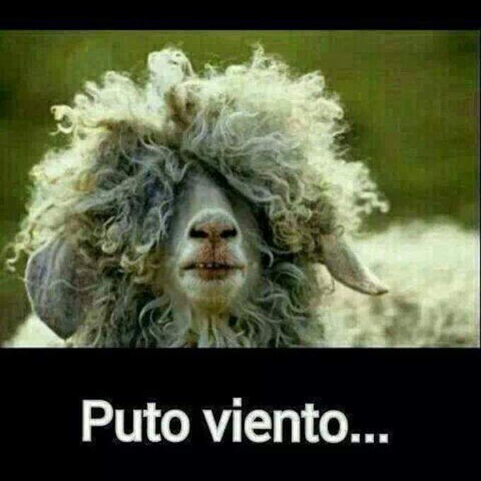 🌪Llegó el temporal de viento!!! 💨 🤓🤗  Precaución en la carretera ⚠ y BUEN finde FAMILIA!!💙

#hotel82 #winter #2019 #Valencia