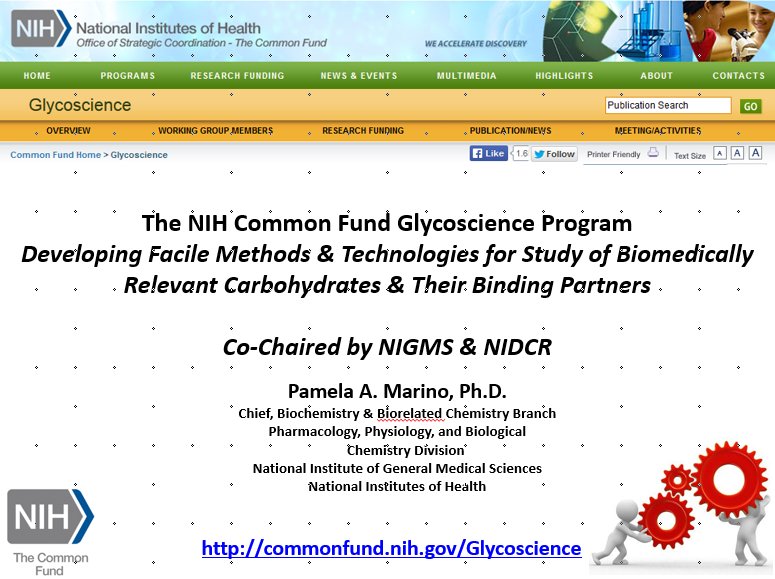 Dr. Pamela Marino presents an update on the Common Fund Glycoscience Program #NAGMS #NIHcommonfund