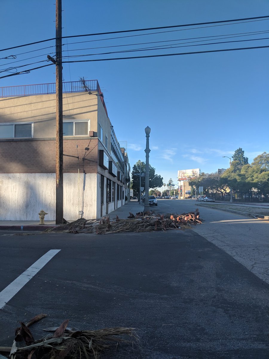 Juan_Matute's tweet photo. Day 5 of wind debris at Saltair &amp; Ohio in West LA. On Day 2 I encountered a wheelchair user in traffic lanes. @ejfbruins @BSSLosAngeles https://t.co/2fGRXjnwVh