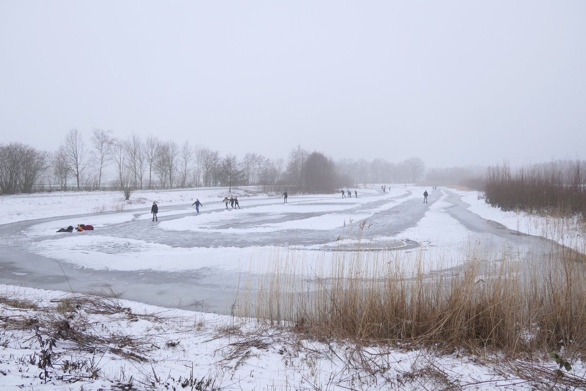 VeldHalle's tweet photo. Winter! Hoe fijn! @achterhoek_foto @JediE @GelderseStreken #schaatspret https://t.co/ztgMTv1Gzl