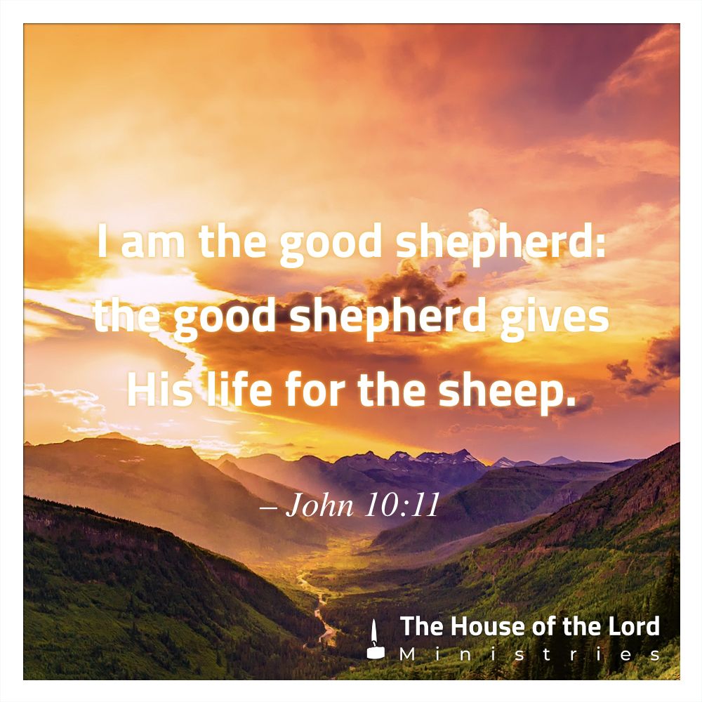 John 10:11 I am the good shepherd: the good shepherd gives his life for the sheep. thotlm.org/bible-178 #Bible #Devotional