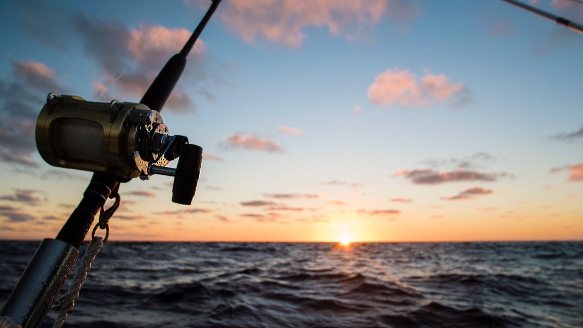 kaf_fishing's tweet photo. Fast start for #ModernFishAct thanks to new management activities of the @SAFMC . #MyFishCount 🎣 https://t.co/6MIYGALBft https://t.co/u2Mr3oTpwq