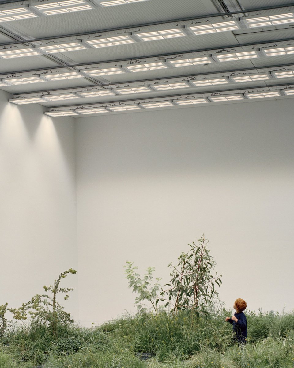 In celebration of Australia Day, we are #tbt the Australian Pavilion's living, breathing 'Repair' installation by Baracco+Wright, Linda Tegg and @AusINSArchitect at last year's Venice Biennale of Architecture #BiennaleArchitettura2018 #Repair2018