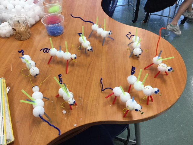 mrthomas334's tweet photo. Students made "critters" by using punnett squares and flipping a coin. We also discovered weird new patterns like incomplete dominance and co-dominance! #transformBA #constantcuriosity https://t.co/DK9bifdpM7
