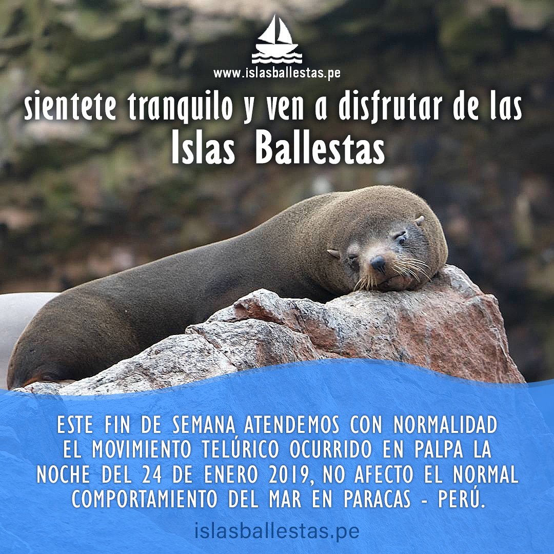 IslasBallestas's tweet photo. Este fin de semana las visitas a las Islas Ballestas se realizan con normalidad 😎 ven y ponte en contacto con la naturaleza. 🐧🐬
Haz tus reservas en https://t.co/y9AuNkYTAf 

#islasballestas #paracas #viajes #tours #travel #trips #tourism #peru #southamerica #ica #lima https://t.co/quex6swghY
