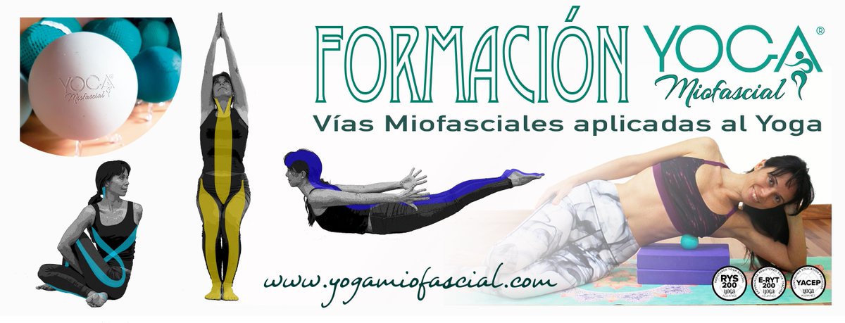 Del 7 al 10 de febrero 2019 Formación Yoga Miofascial® en Ciudad de México "semi-presencial". Más información: bit.ly/FormacionYogaM…

Curso de especialización en la aplicación de las vías Miofasciales en la práctica de Yoga para Profesores y/o Practicantes de Yoga.