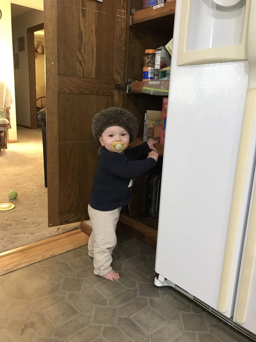 djl2258's tweet photo. Happy Birthday #Harvey! You bring so much joy to our family. @jeremiahlandon @RebaLandon #LandonFamilyValues https://t.co/jKcExtE3NX