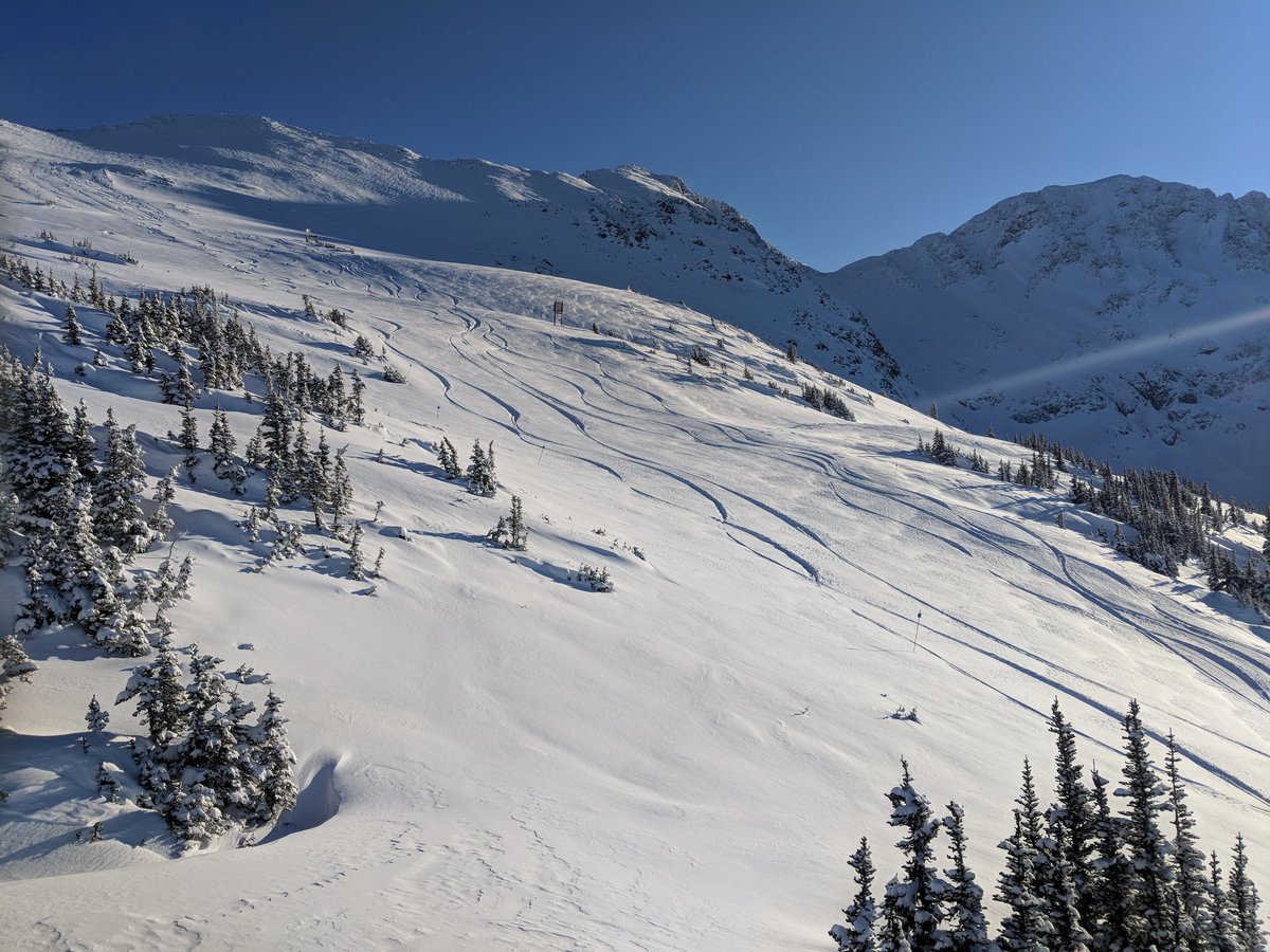 Backcountry Harvest (BCHarvest) Twitter
