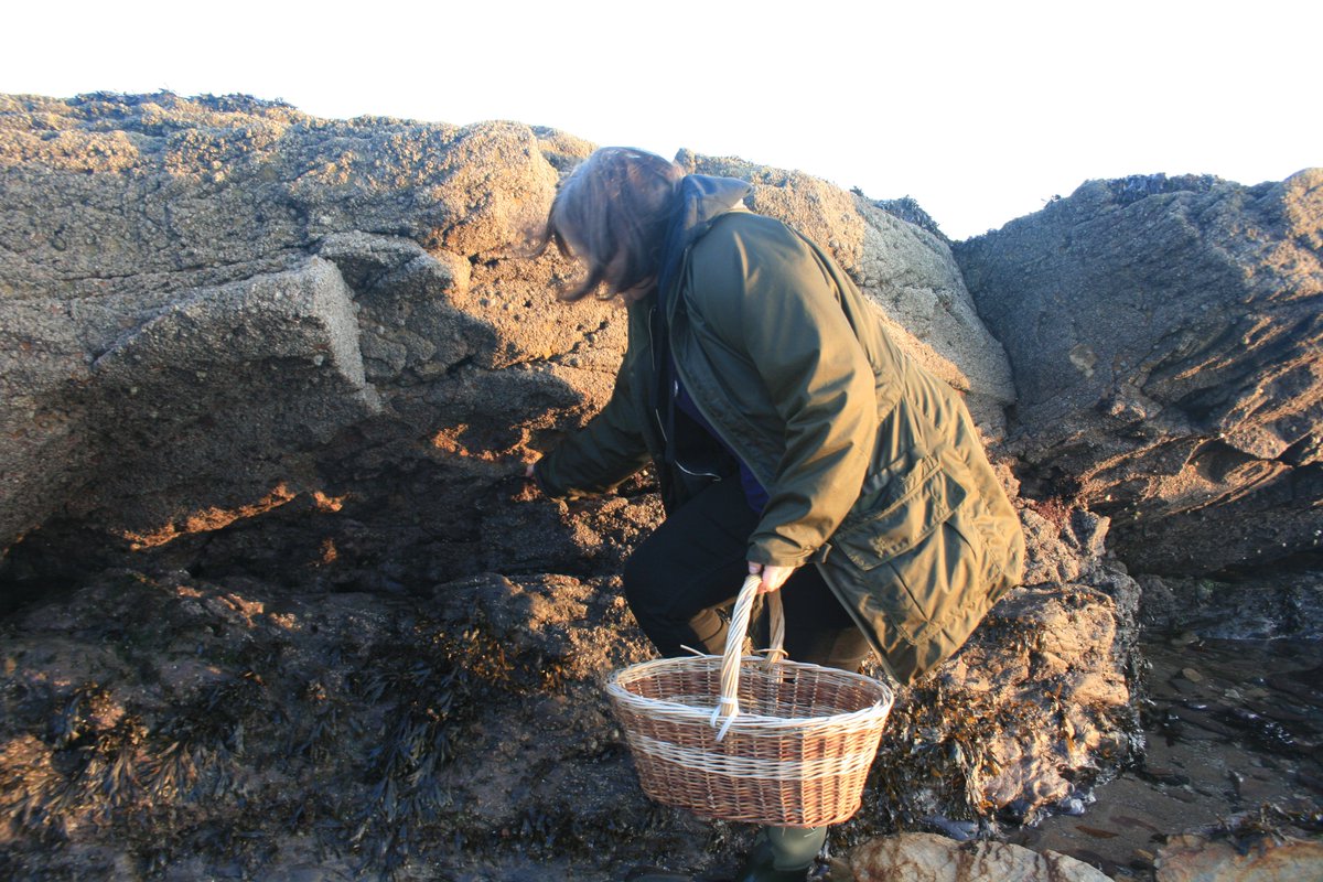 Fancy some #seaweedcrisps ? I spent a fun afternoon recently with @monicawilde learning about #winterforaging in #Scotland - read all about it in a piece I wrote for <a href="/topsanteuk/">Top Santé magazine</a> magazine: ourmagazines.co.uk/aVlOv