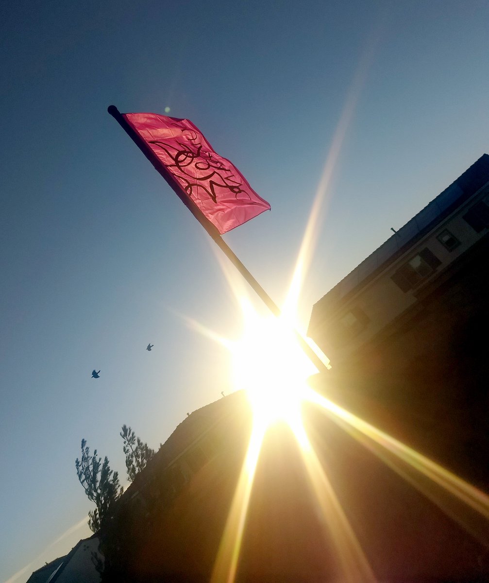 OutdoorDimsigns's tweet photo. It is a beautiful #flagfriday out at Sundance @PardeeHomes 💗💛 #ODteamwork https://t.co/TeKuCqK9SM