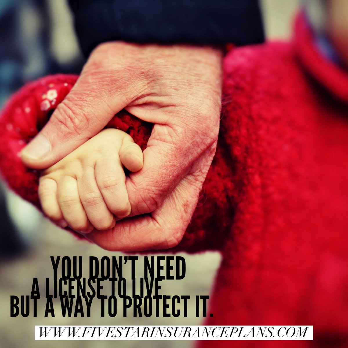 fivestarinsur's tweet image. You don't need a license to live but a way to protect it. 

@fivestarinsuranceplans

#flinsuranceagent #fivestartinsuranceplans #3gc4gb #endlesssummertribe2019 #customizedinsuranceplans #getyourinsurancequote #tampafl #healthinsuranceagent #protectyourfuture