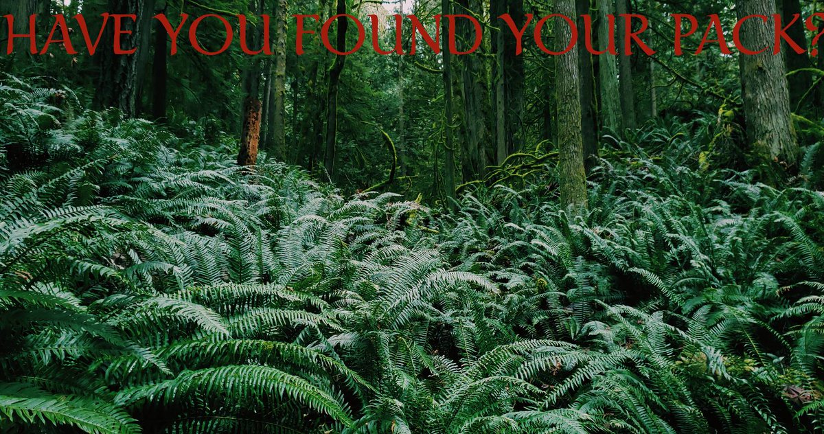 FindURPack's tweet photo. Have you found your pack? Find out more at https://t.co/1WFmPJe2RK #findurpack
.
.
.
.
.
.
#filmmakerslife #findyourpack #apocalypse #bingewatching #hiking #nature #justgoshoot #justbeyou #peoplescreative #peoplescollective #washingtonstate #picoftheday #instagram #forest #hike https://t.co/yQeesTaTLg