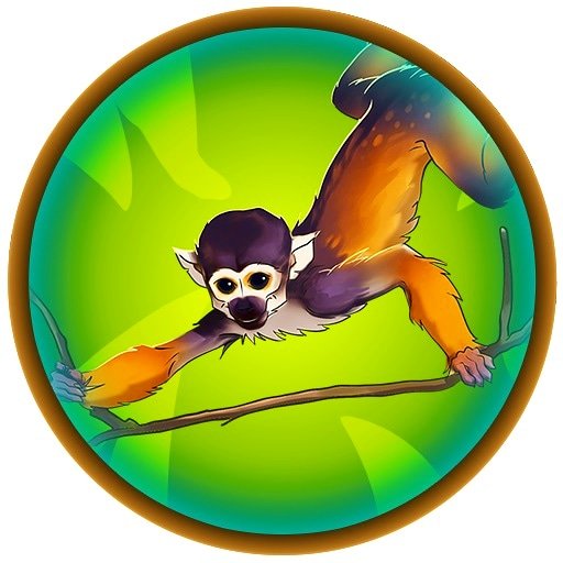 JungleGuardians's tweet photo. Meet #JungleGuardians #animals
#monkeys #squirrelmonkey #monkeyjungle #monkeysanctuary #live_love_wildlife #wildlifeplanet #wildplanet #wildlife_perfection #amazonia #brazil #ecuador #primata #primate #zoologia #zoology #funnymonkey #macaco #natureza
#videogames #gaming #playtime https://t.co/9VfQymHjTM