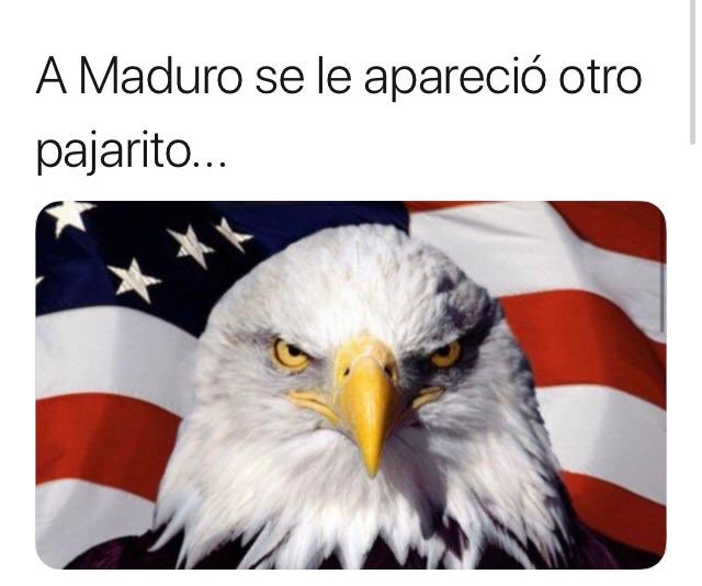 Napoleón Bravo tweet media