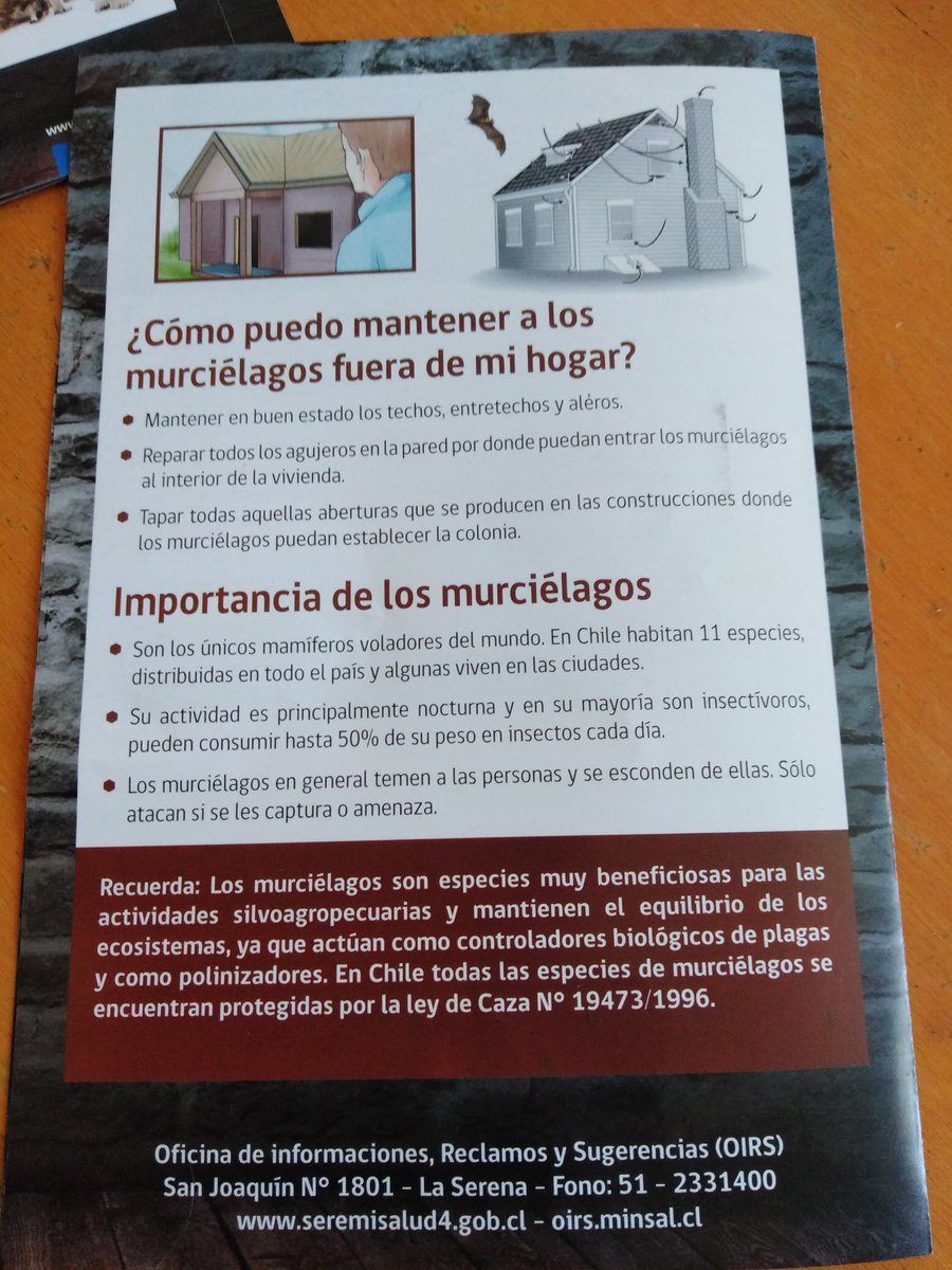 magaby_fe9's tweet photo. En la Pobl. Buen Pastor,La Serena se encontró un 🦇 capturados por 🐈🐈 El servicio de salud se lo llevó al 🦇 para análisis de rabia. Vendrán a vacunar a los 🐈🐈 que cazaron al animal y según los resultados se realizará prevención. Más info en las fotos @AlmacenSilvana https://t.co/xD2jr2psWv