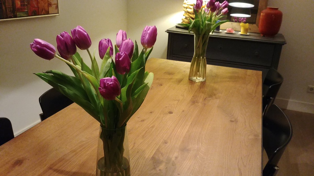 walterdataok's tweet image. Compré tulipanes.