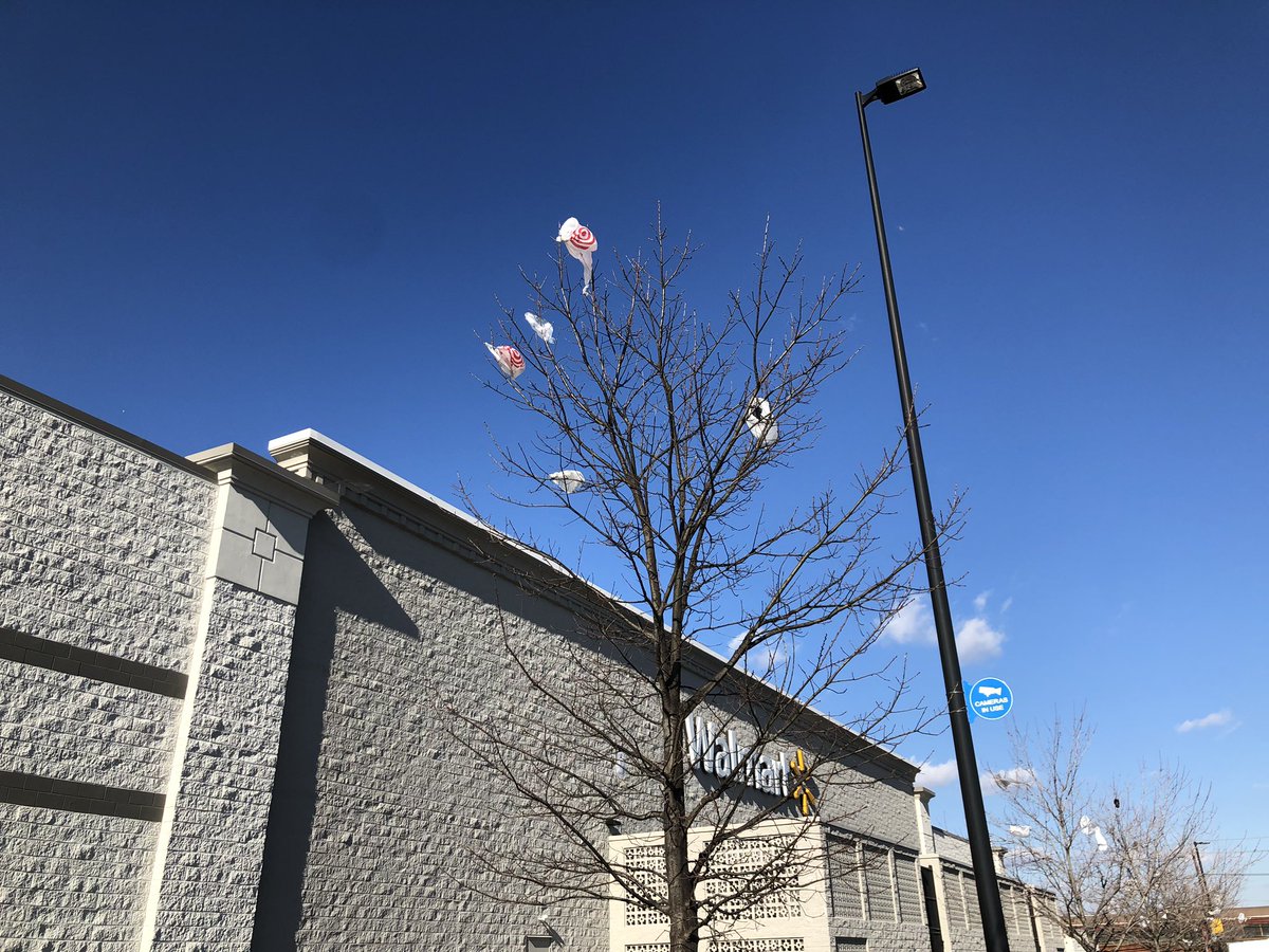 DNCsBazaar's tweet photo. Take a moment to reflect! Please Bag the Single-Use Bag Habit! #PlasticBags #PlasticBan #BagBan #SaveThePlanet @Walmart @Target No those arenโt kites! #Kite #KiteLife #Plastics #PlasticsKill #EarthDay https://t.co/i1skBmEn10